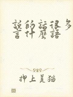 说的话很多什么言什么语