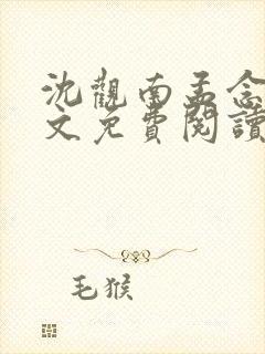 沈观南孟念一全文免费阅读