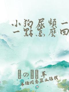 小狗尿频一会尿一点怎么回事