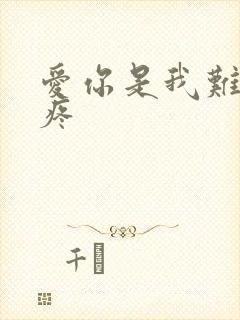爱你是我难言的疼
