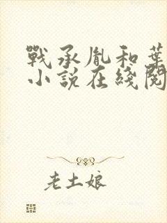 战承胤和叶苜苜小说在线阅读