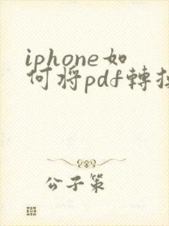 iphone如何将pdf转换为word