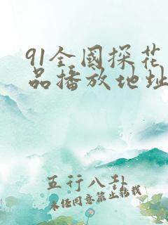 91全国探花精品播放地址