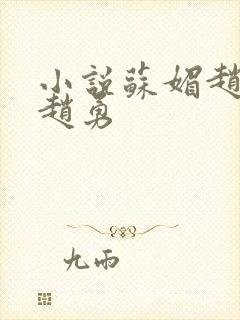 小说苏媚赵大宝赵勇