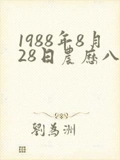1988年8月28日农历八字