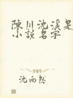 陈川沈溪是什么小说名字