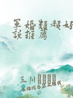 军婚类超好看小说推荐