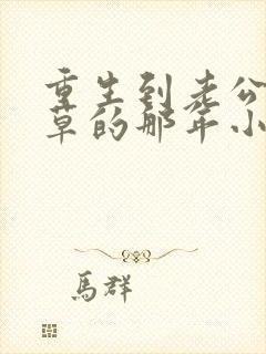 重生到老公当校草的那年小说