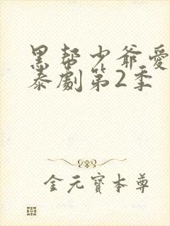 黑帮少爷爱上我泰剧第2季