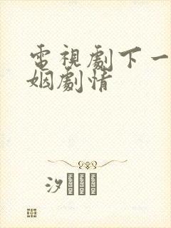 电视剧下一站婚姻剧情