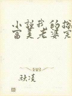 小说我的总裁白富美老婆完结版