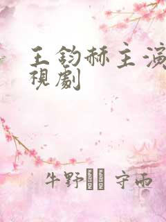 王钧赫主演的电视剧