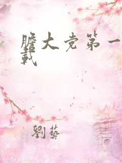 胆大党第一季下载