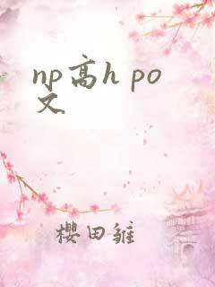 np高h po文