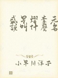 盛星熠李元澄小说叫什么名字