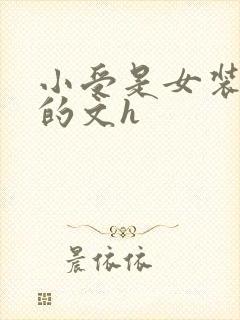 小受是女装大佬的文h