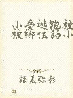 小受逃跑被囚禁被绑住的小说
