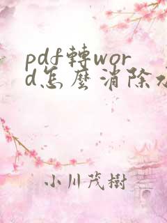 pdf转word怎么消除水印