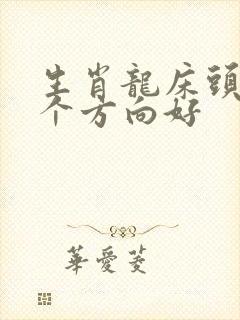 生肖龙床头朝哪个方向好
