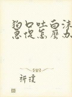 狗口吐白沫呼吸急促怎么办
