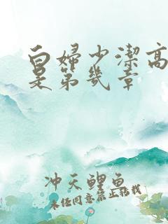 白妇少洁高小坡是第几章
