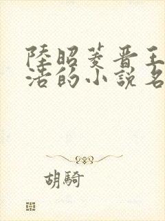 陆昭菱晋王朱明浩的小说名