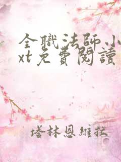 全职法师小说txt免费阅读