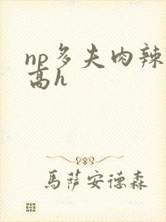 np多夫肉辣文高h