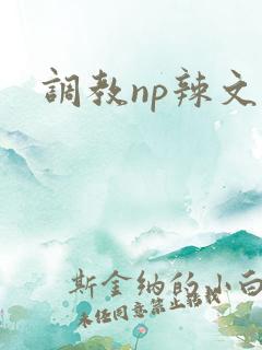 调教np辣文