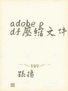 adobe pdf压缩文件怎么压缩最小
