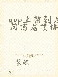 app上架到应用商店价格