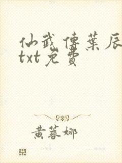 仙武传叶辰全本txt免费