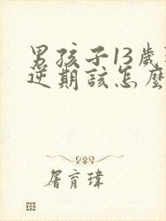 男孩子13岁叛逆期该怎么沟通