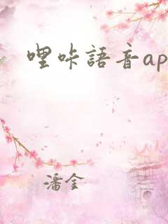 哩咔语音app