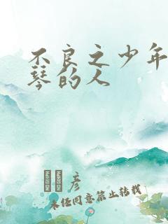 不良之少年王抚琴的人