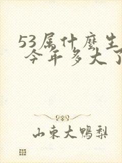53属什么生肖 今年多大了
