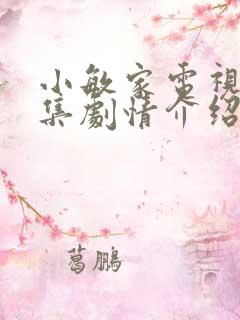 小敏家电视剧全集剧情介绍