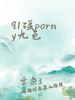 91碰porny九色