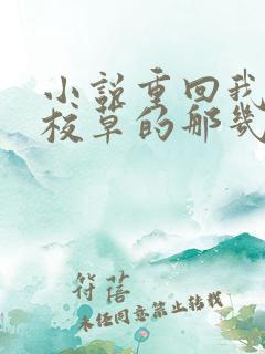 小说重回我爸当校草的那几年