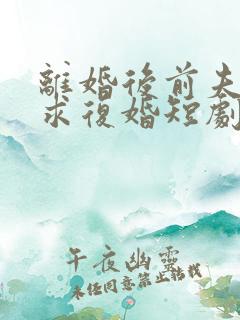 离婚后前夫哭着求复婚短剧免费观看
