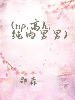 (np,高h,纯肉男男)