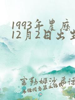 1993年农历12月2日出生生辰八字