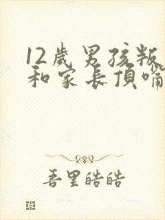 12岁男孩叛逆和家长顶嘴发脾气
