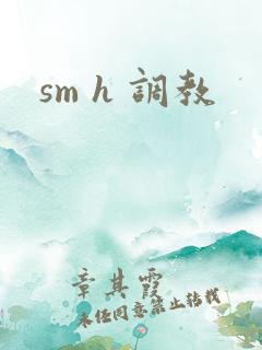 sm h 调教