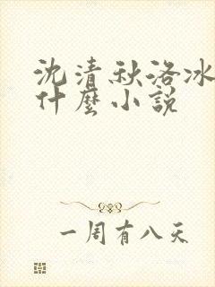 沈清秋洛冰河是什么小说