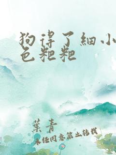 狗得了细小拉黑色粑粑
