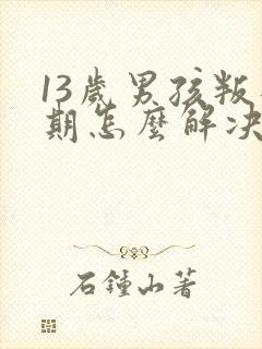 13岁男孩叛逆期怎么解决