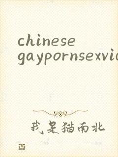 chinesegaypornsexvideo