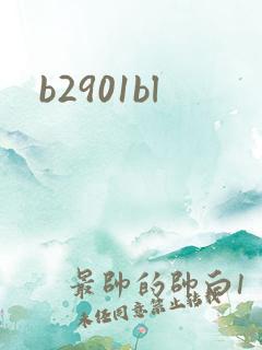 b2901bl