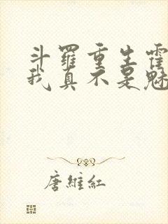 斗罗重生霍雨浩我真不是魅魔